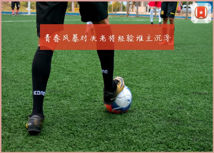 青春风暴对决老将经验谁主沉浮
