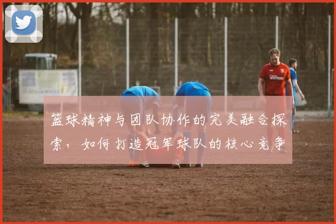 篮球精神与团队协作的完美融合探索，如何打造冠军球队的核心竞争力