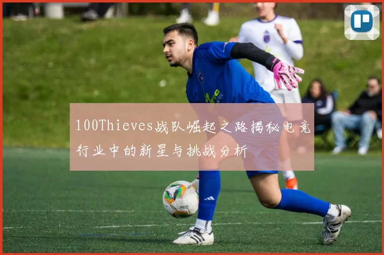 100Thieves战队崛起之路揭秘电竞行业中的新星与挑战分析