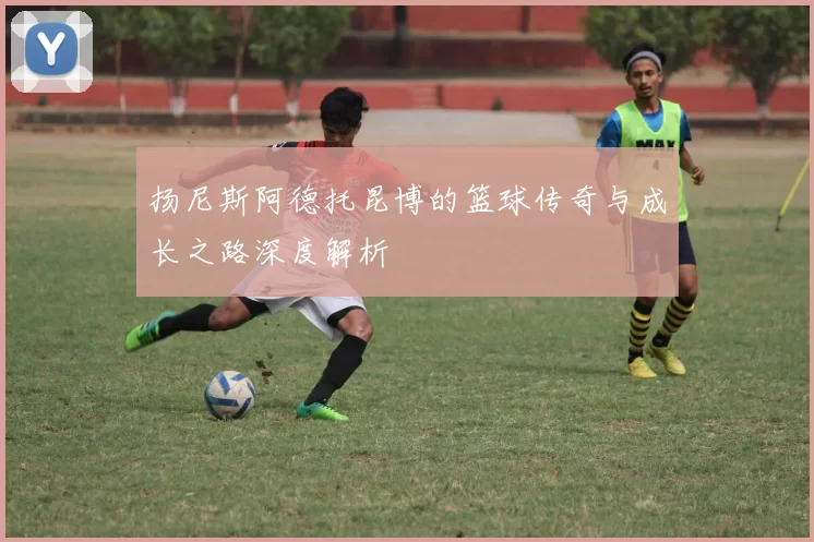 扬尼斯阿德托昆博的篮球传奇与成长之路深度解析