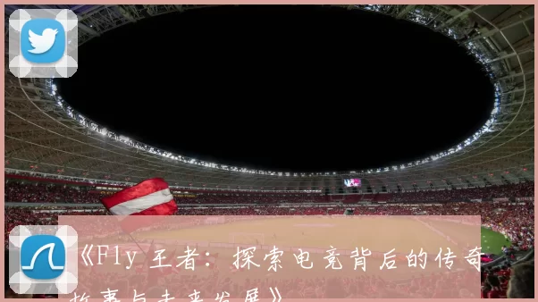 《Fly 王者：探索电竞背后的传奇故事与未来发展》