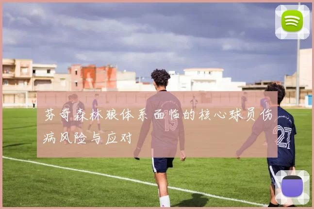 芬奇森林狼体系面临的核心球员伤病风险与应对