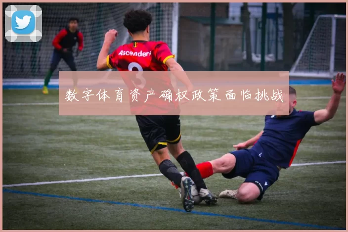 数字体育资产确权政策面临挑战