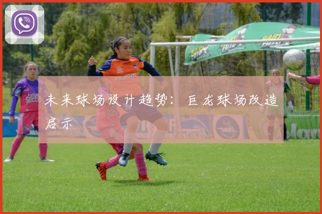 未来球场设计趋势：巨龙球场改造启示
